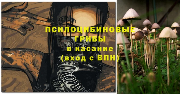 ГАЛЛЮЦИНОГЕННЫЕ ГРИБЫ Белая Холуница
